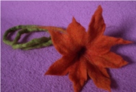 orange lange Blüte